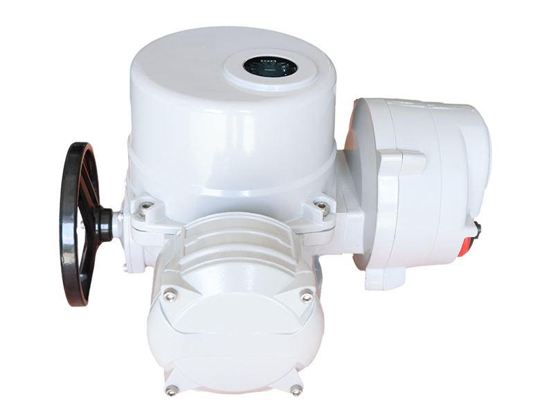 電動執(zhí)行器角行程LMQ系列